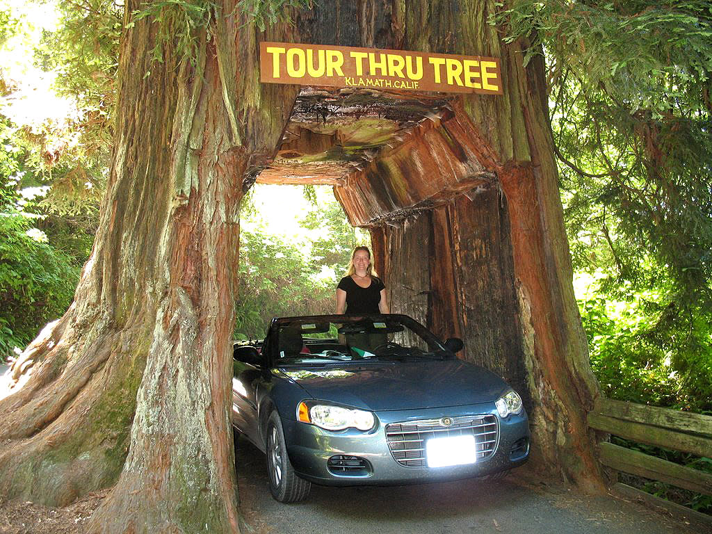 Visitredwoods.jpg