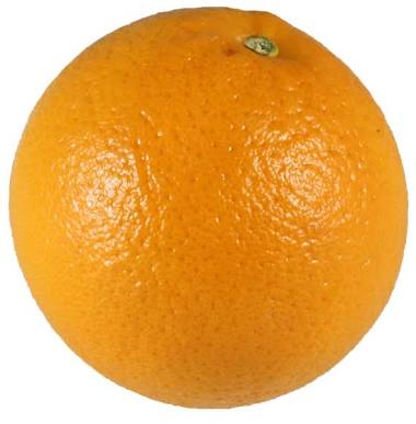 images.jpg