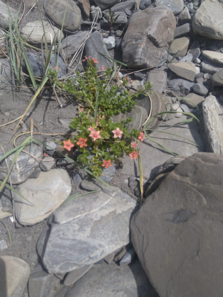 IMG-20180516-WA0032.jpg