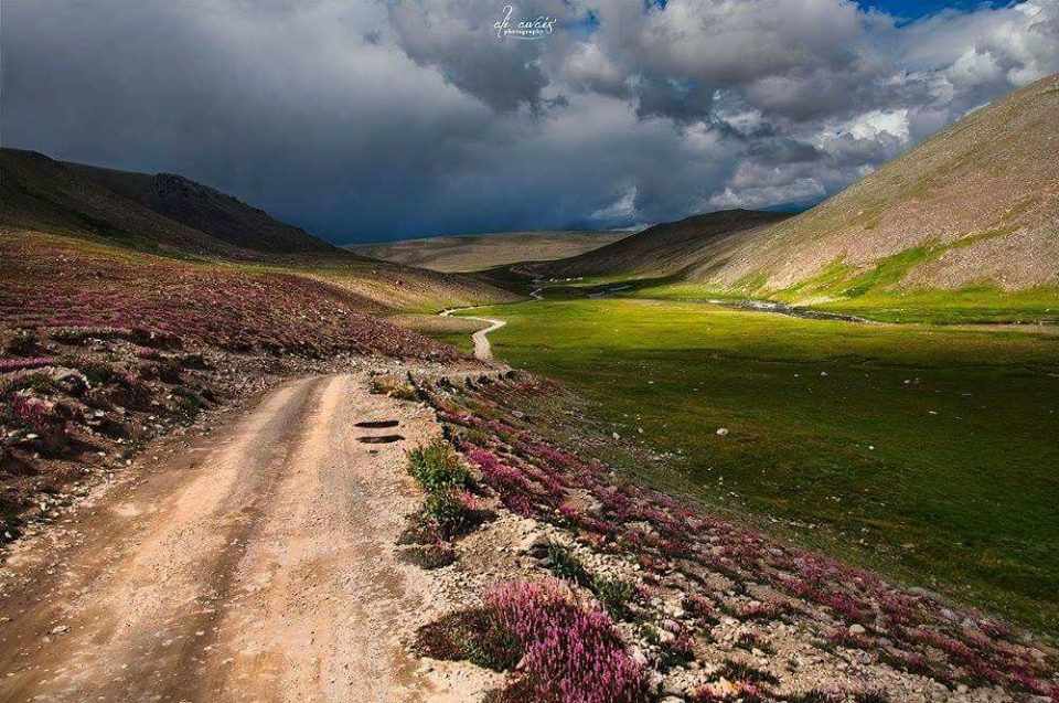 Deosai.jpg