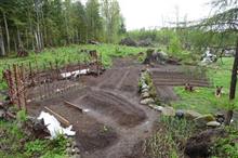 spring garden with hills and rustic fencing, German Shepard dogs