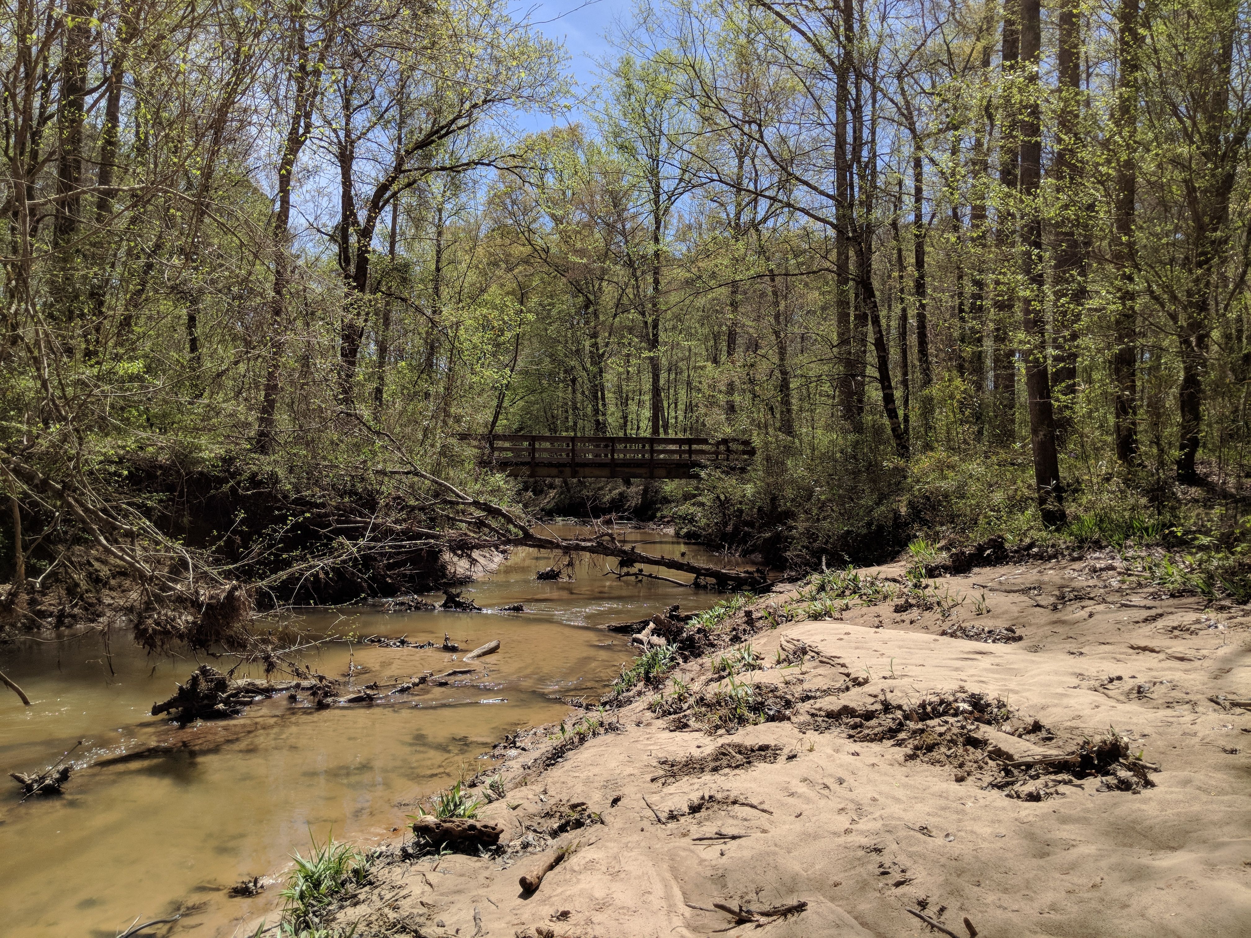 Beach and bridge at Nuxobee Hills