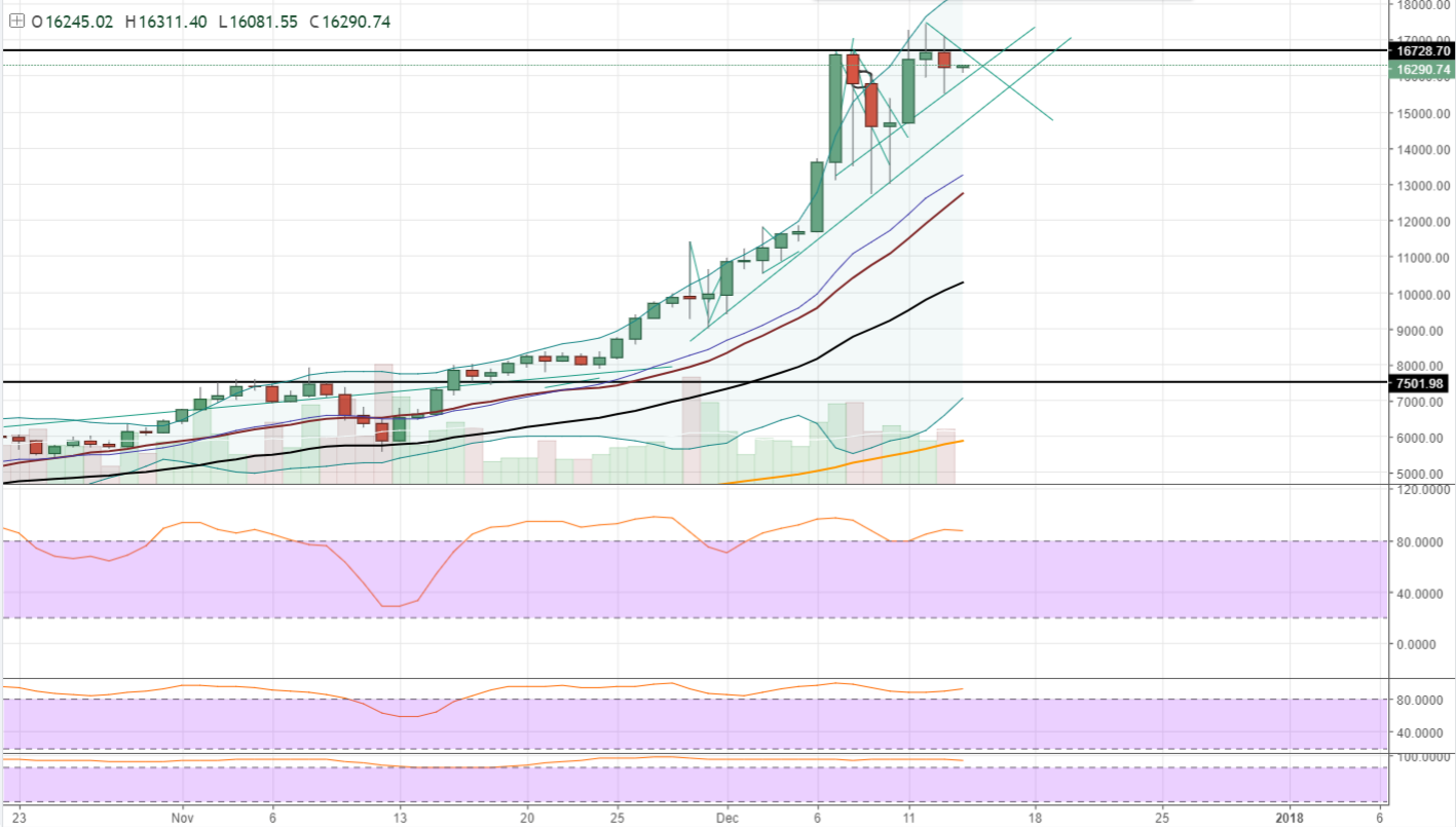 FireShot Capture 516 - BTCUSD_ 16292.00 ▲+0.26% — Unn_ - https___www.tradingview.com_chart_AxIWekrr_.png