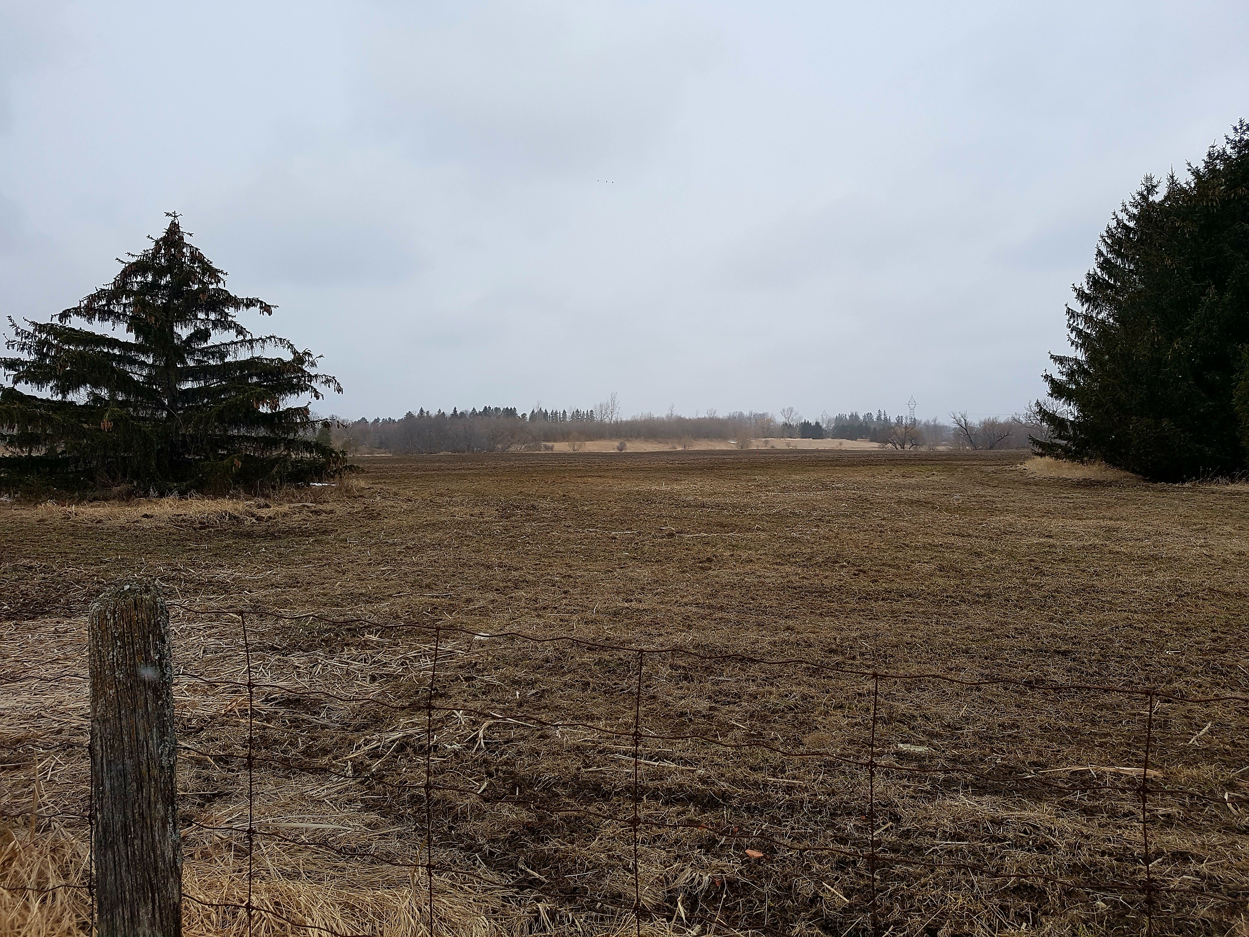 20180410_103822.jpg