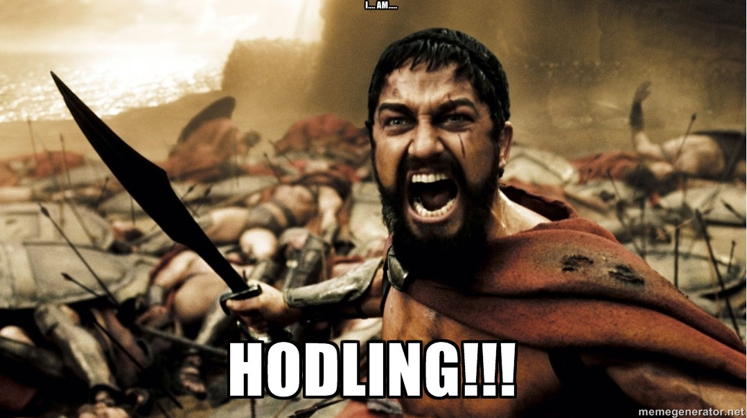 hodl_hodl.png