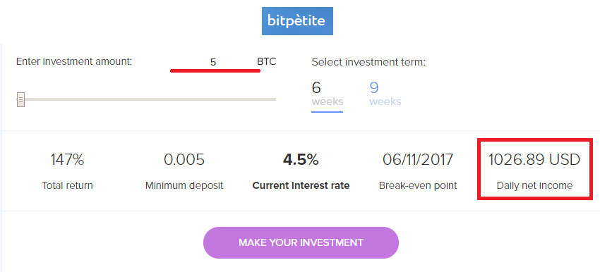 Bitpetite investment proposal.png