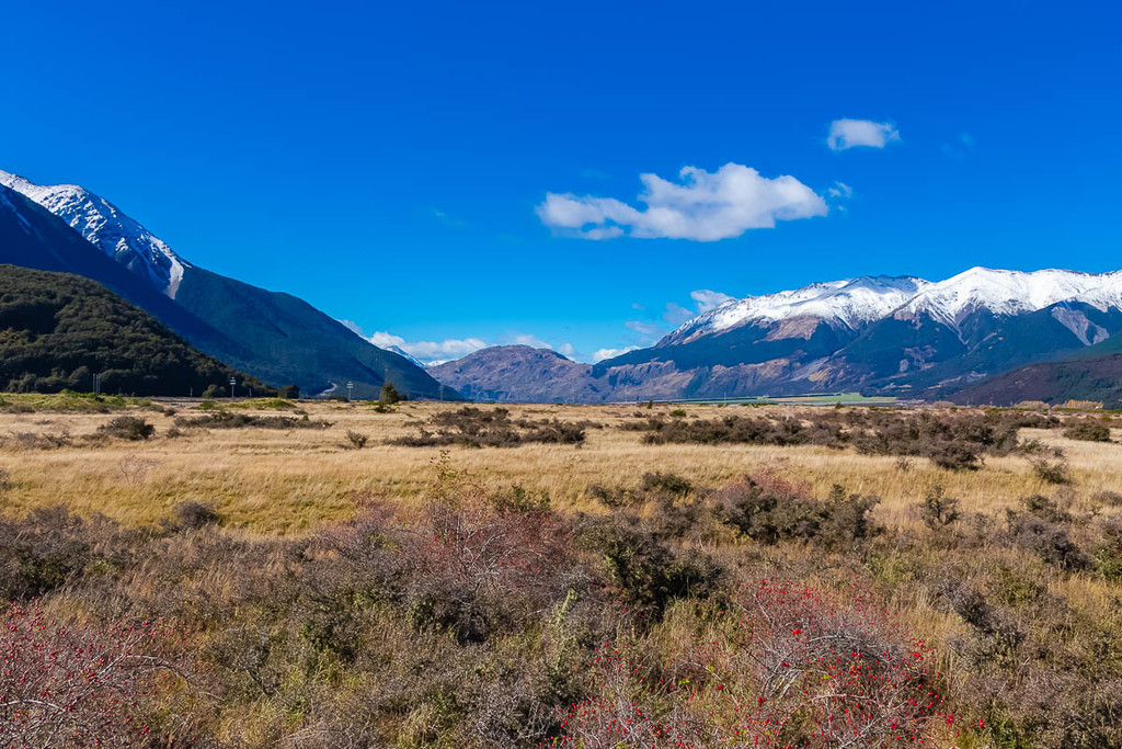 New Zealand South Island ,4.jpg