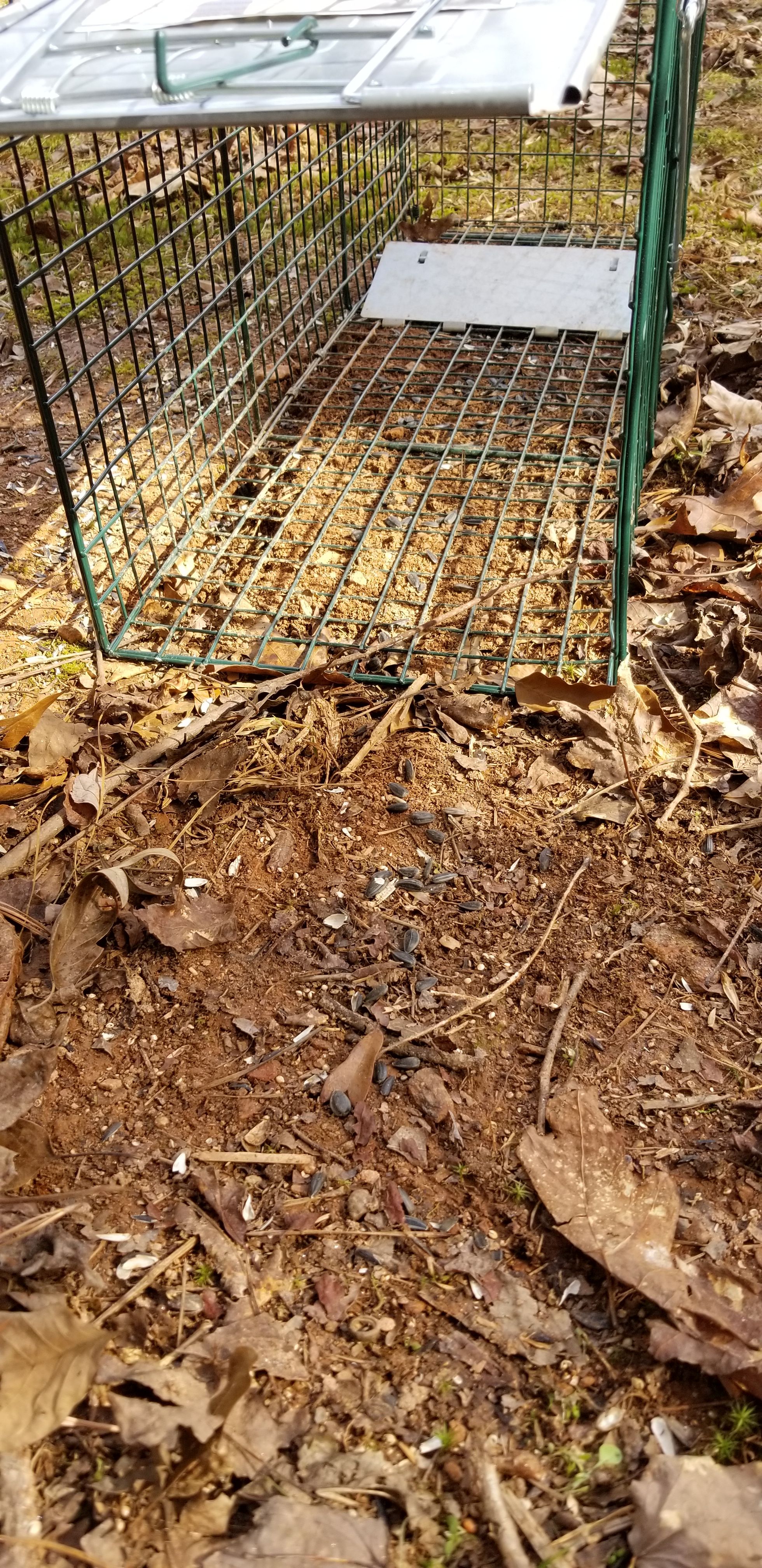20180126_125757.jpg