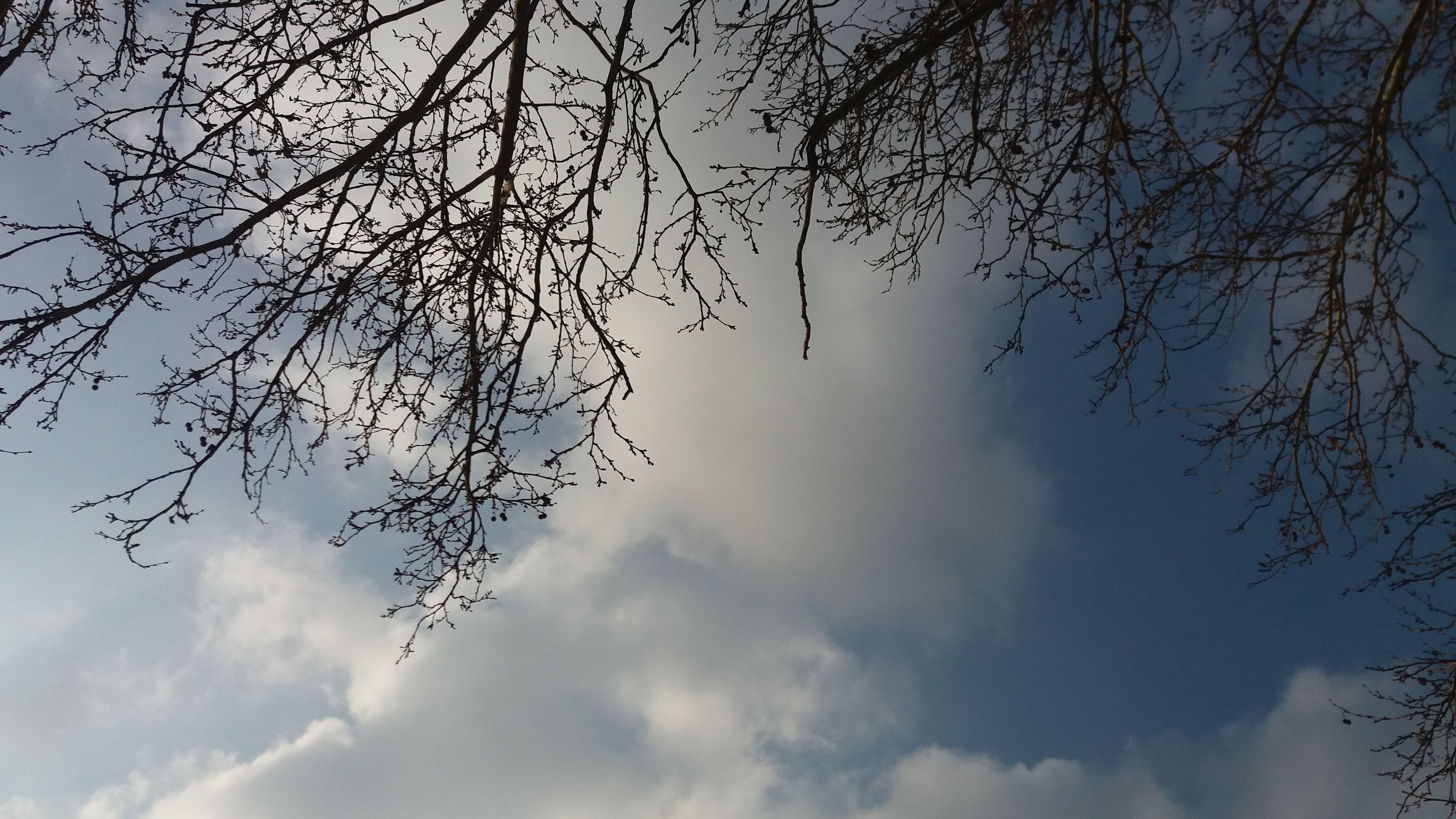 20180227_164132.jpg