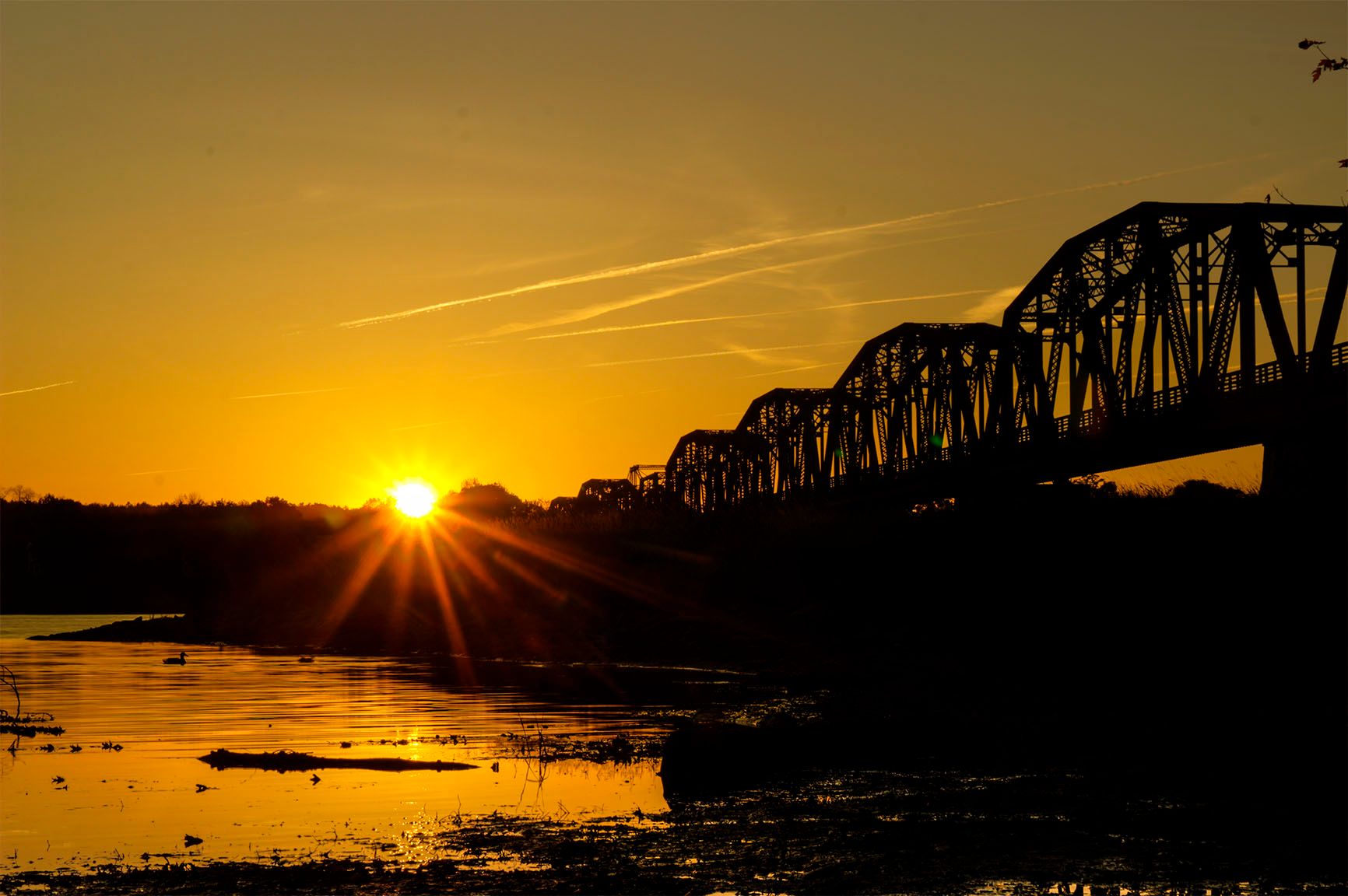 Bridge Duck sunset.jpg