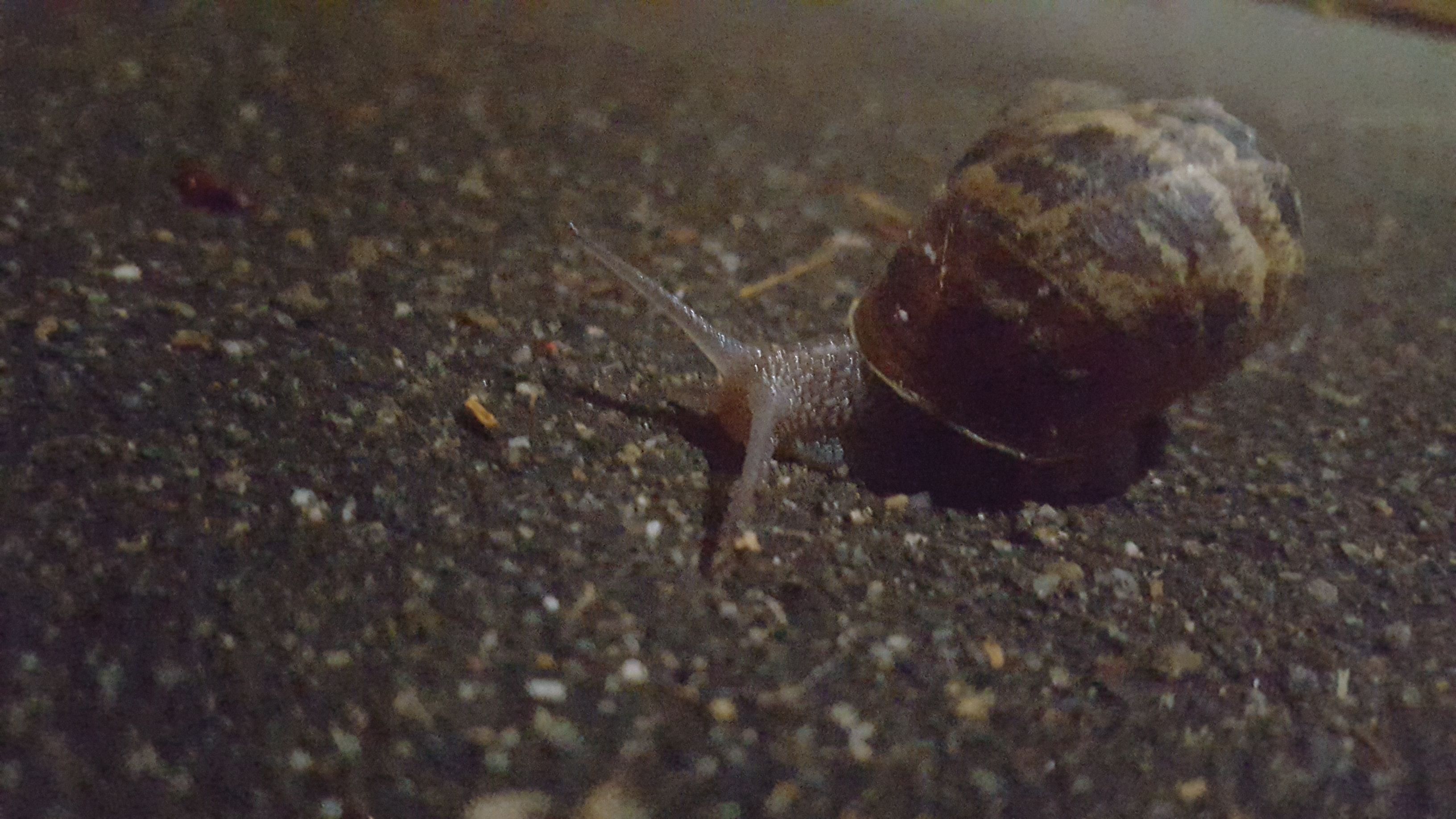 20170909_215016.jpg