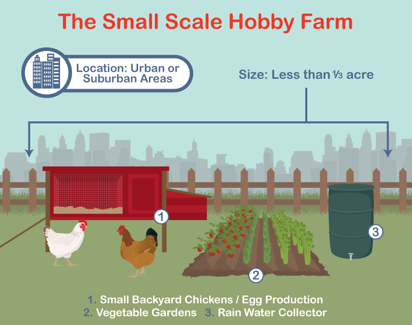 homestead vs hobby farm