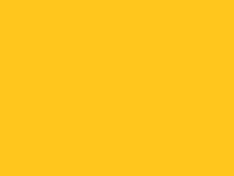 yellowflag.jpg