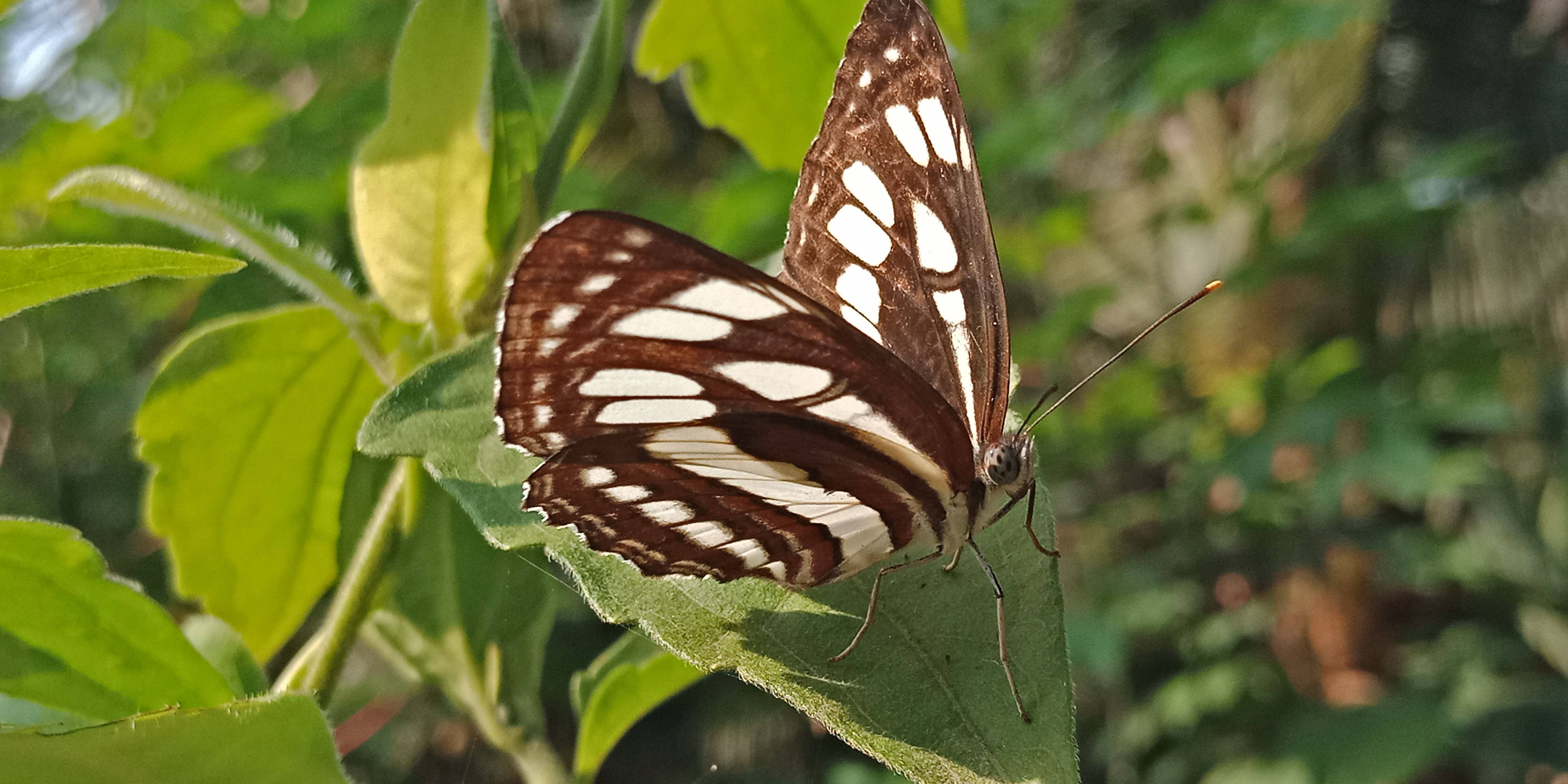 IMG20180219092151.jpg