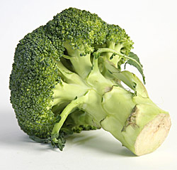 4_1_1_broccoli.jpg