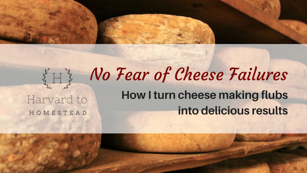 No fear of cheese failure.png