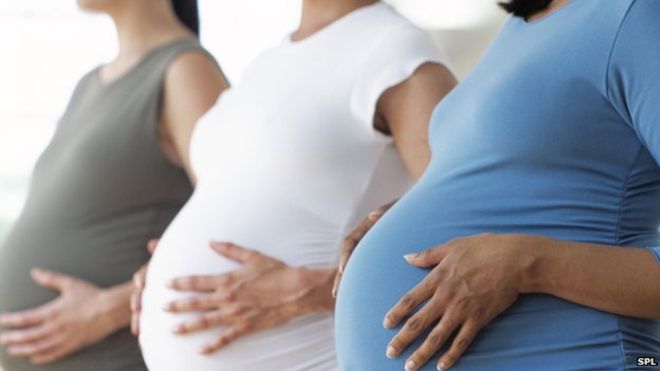 pregnancy.jpg