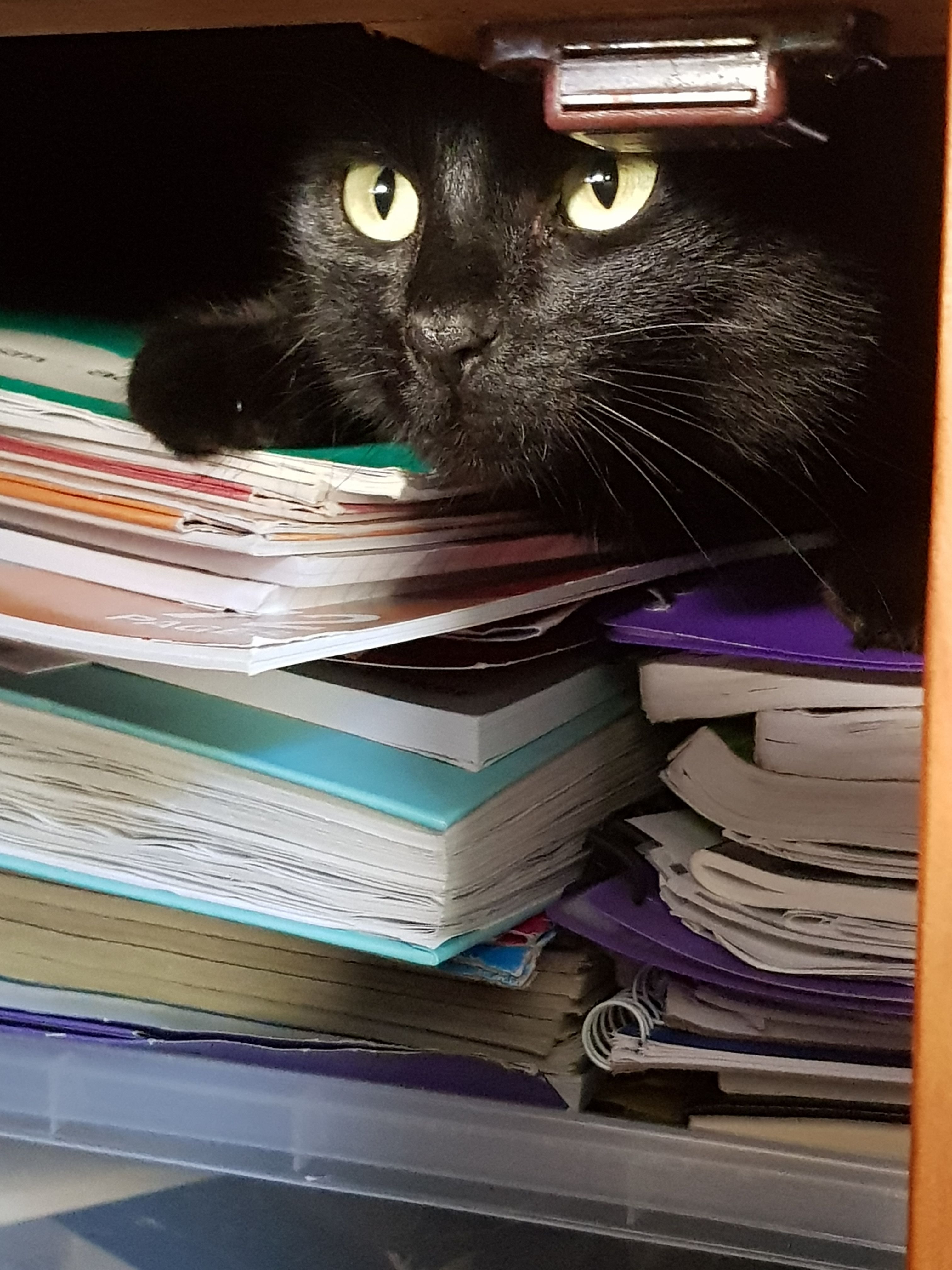 20180517_122648.jpg