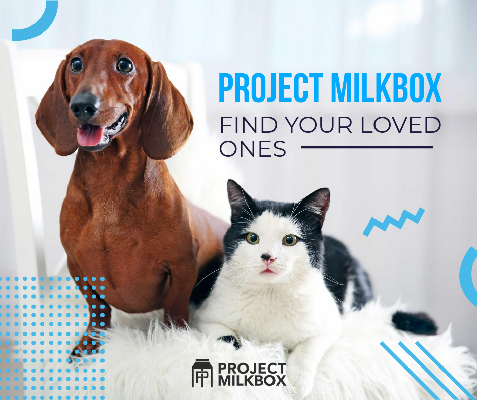 Untitled-design (8).png