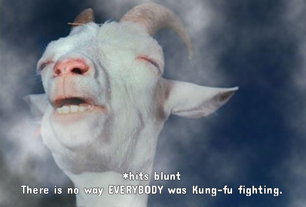 a275d77a825a856e7969e26e1aaf6d3f-these-goats-are-stoned-as-sht_1505201594518.png