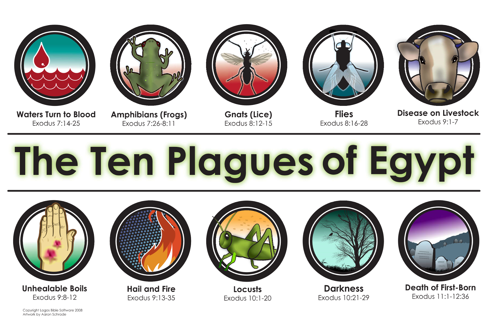 city of the plague god series in order