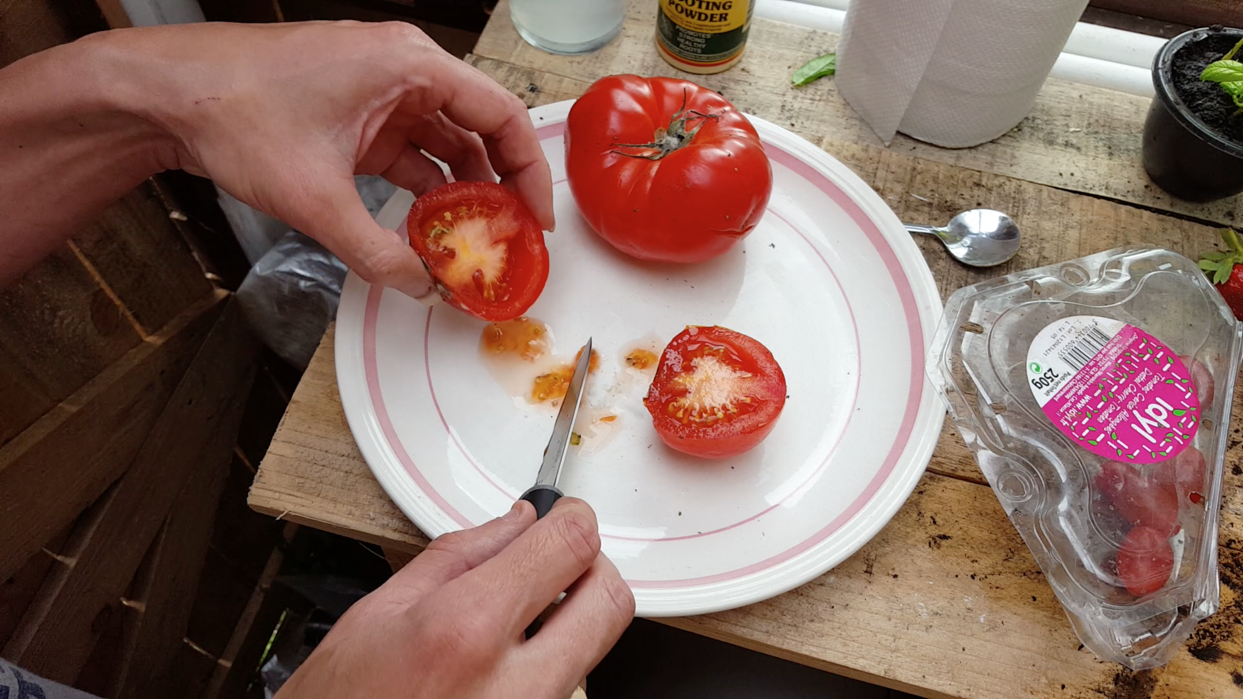by Step Collect Steemit (A to: Guide) ☆ — Free Tomato Complete Step How Seeds