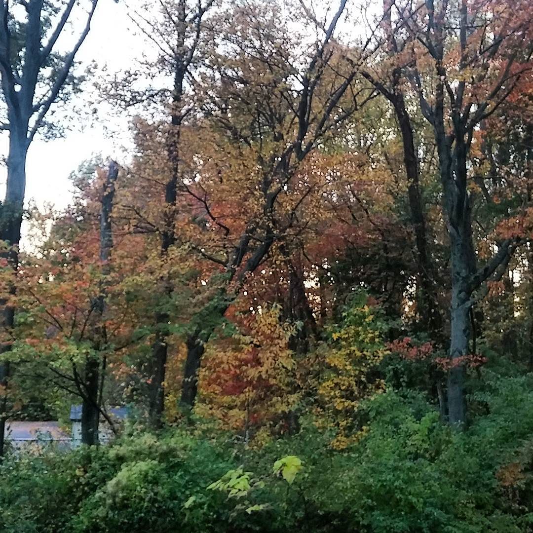 I love fall colors!.jpg