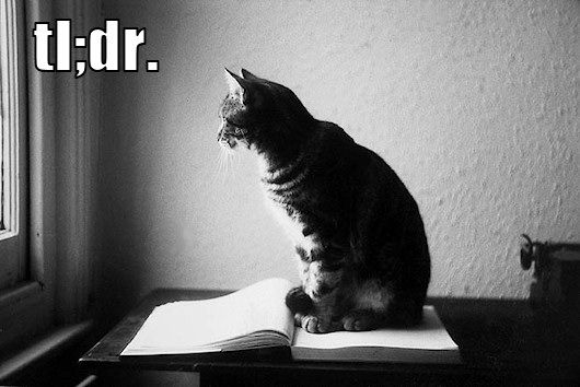tldr-trollcat.jpg