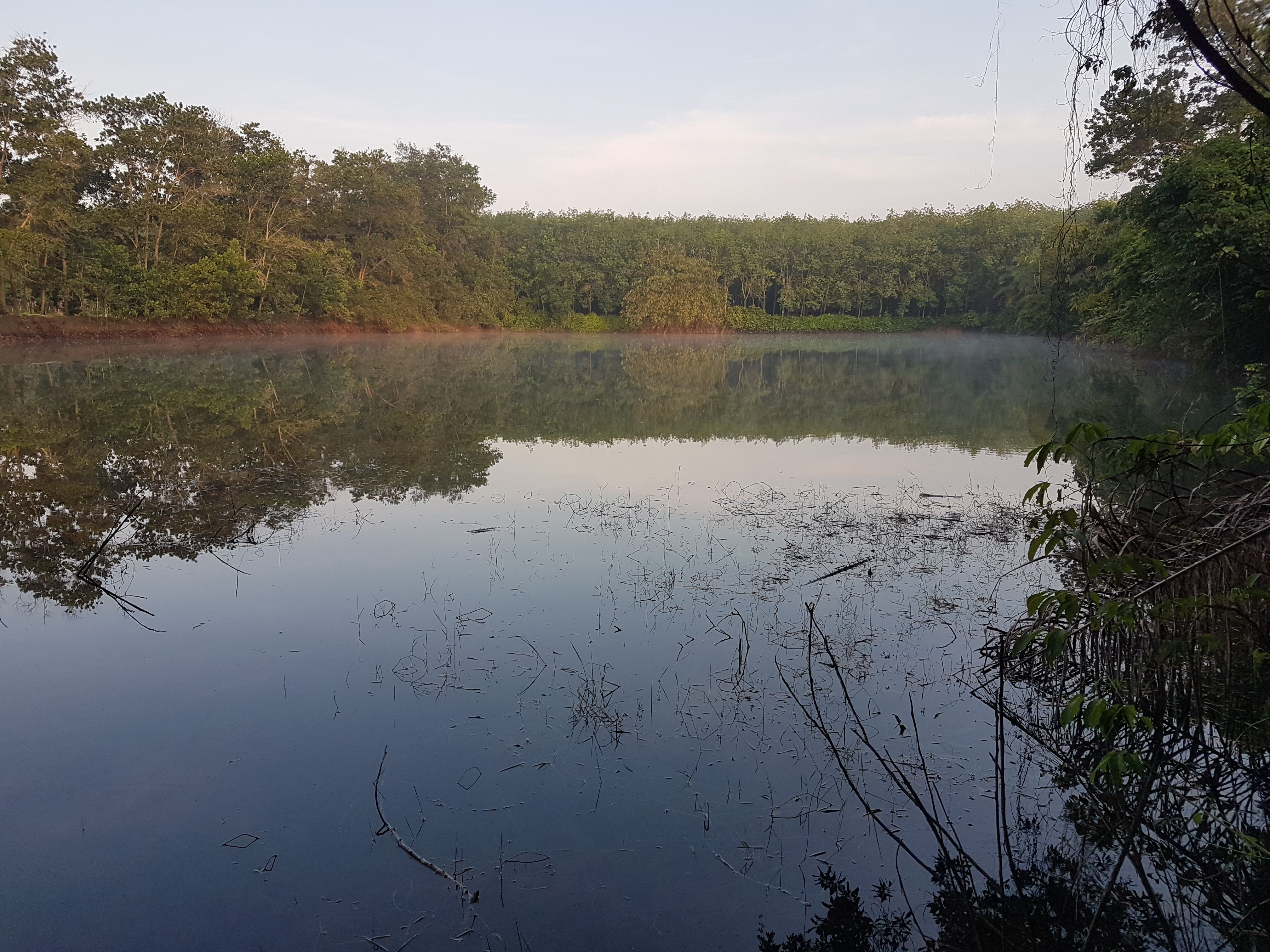 20180506_064215.jpg