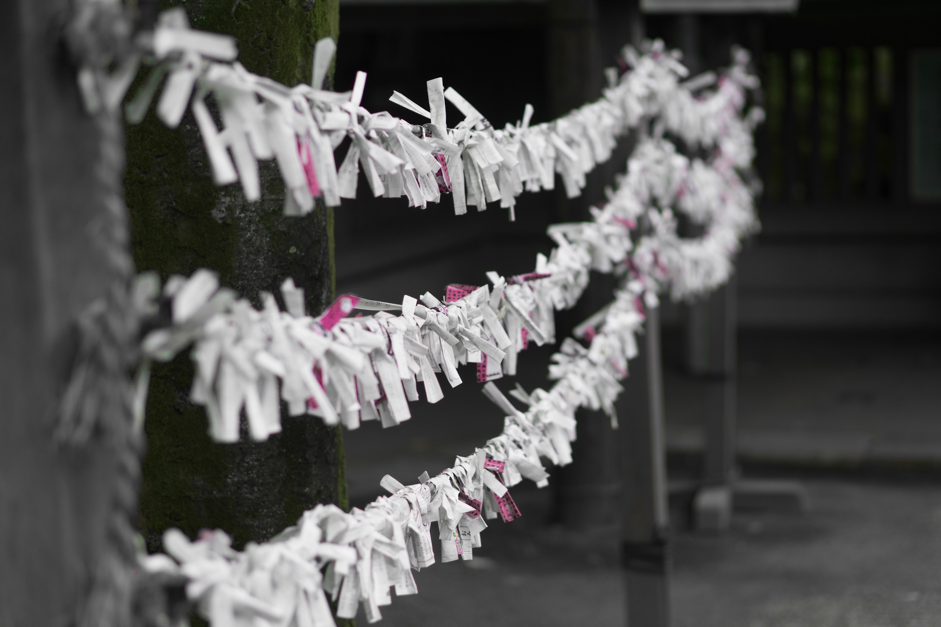 togo-shrine-tokyo-02478.jpg