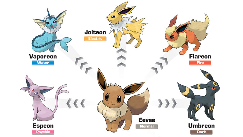 On Pokemon Go, the Eevee name trick isn't working for me anymore. I have  used the name trick for all the eevee evolutions and it wont work anymore,  can anyone tell me