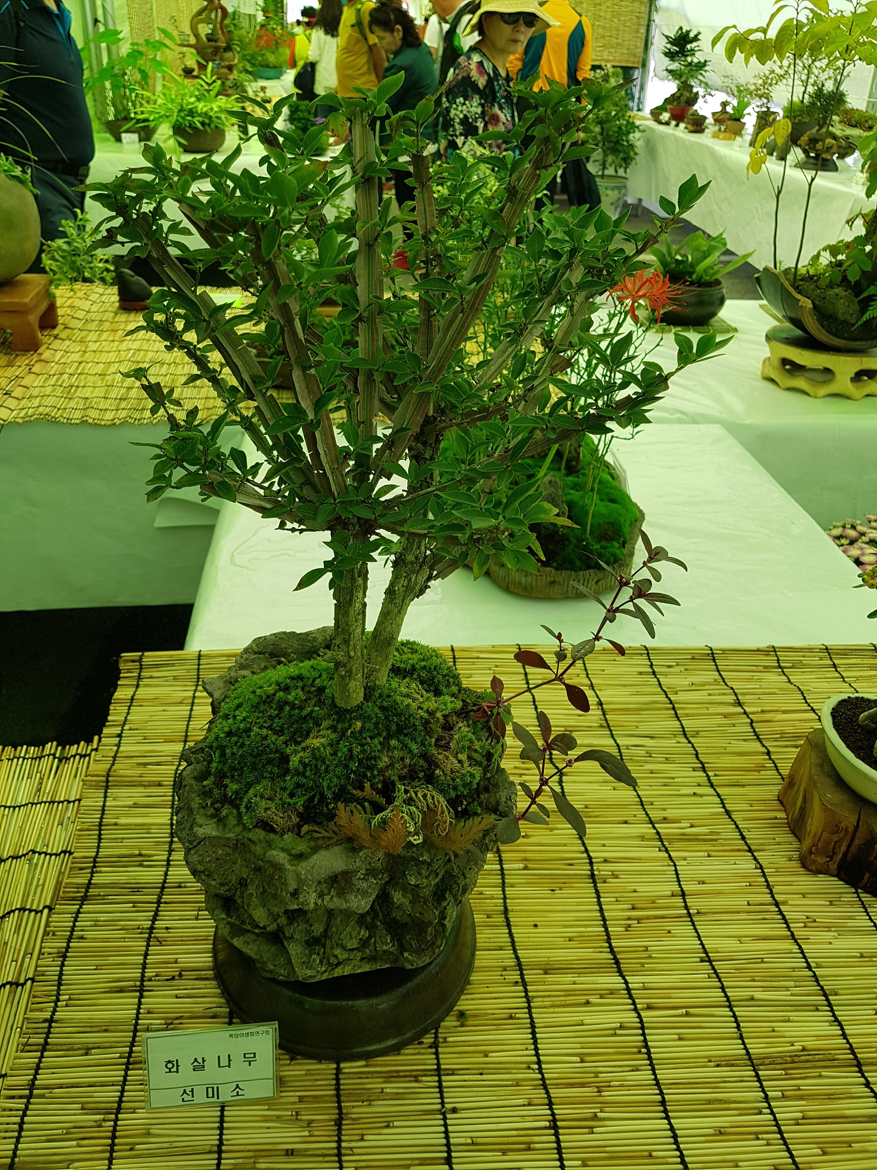 20170917_135903.jpg