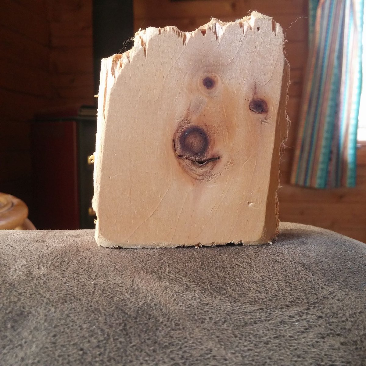 doggywood.jpg