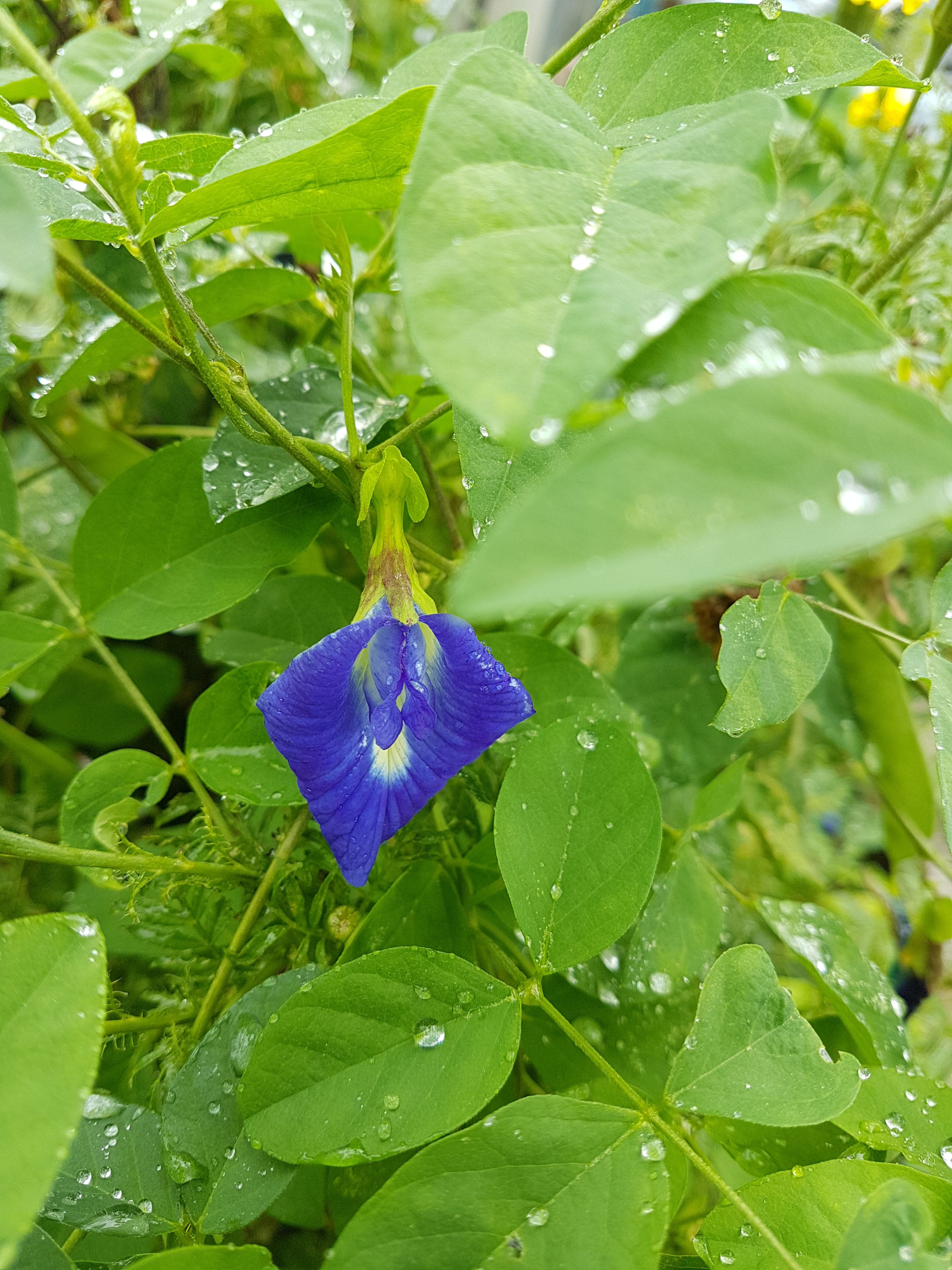 20171227_105453.jpg