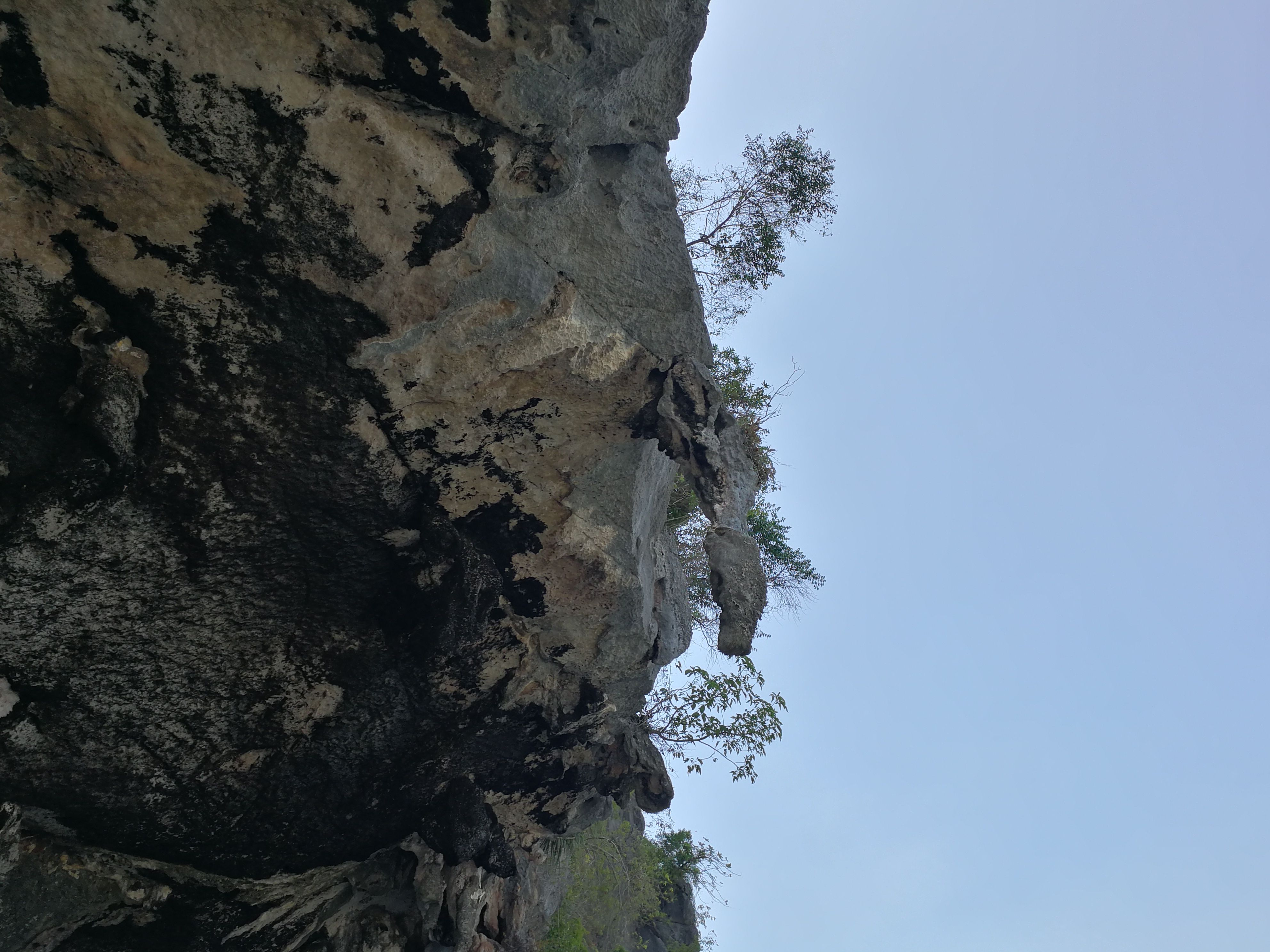 IMG_20180401_141326.jpg