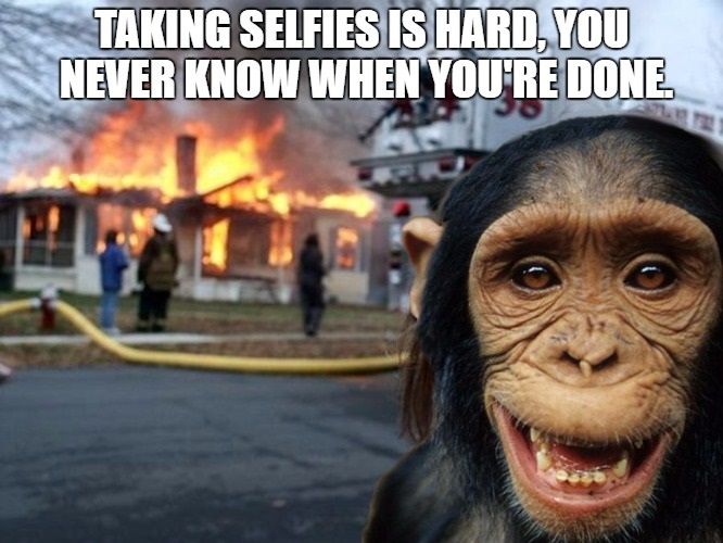 disaster chimp 4.jpg