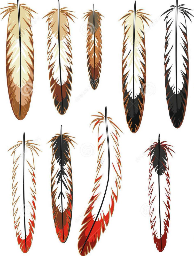 feathers.png