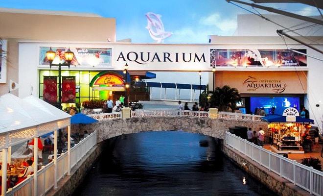interactive-aquarium-cancun-galeria-min.jpg