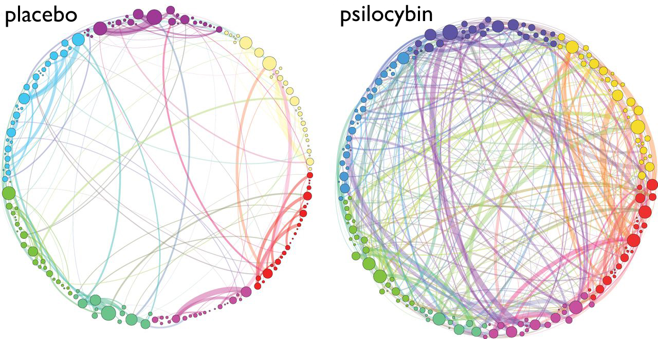 brain-networks.jpg