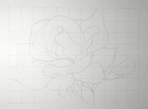 How to Draw a Rose for Beginners.jpg