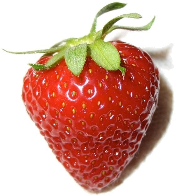 U5dsAFjqWBwqibhWJYxG674HQdtAUwY_1680x8400.jfif