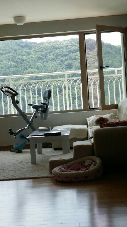 KakaoTalk_20170812_173104634.jpg