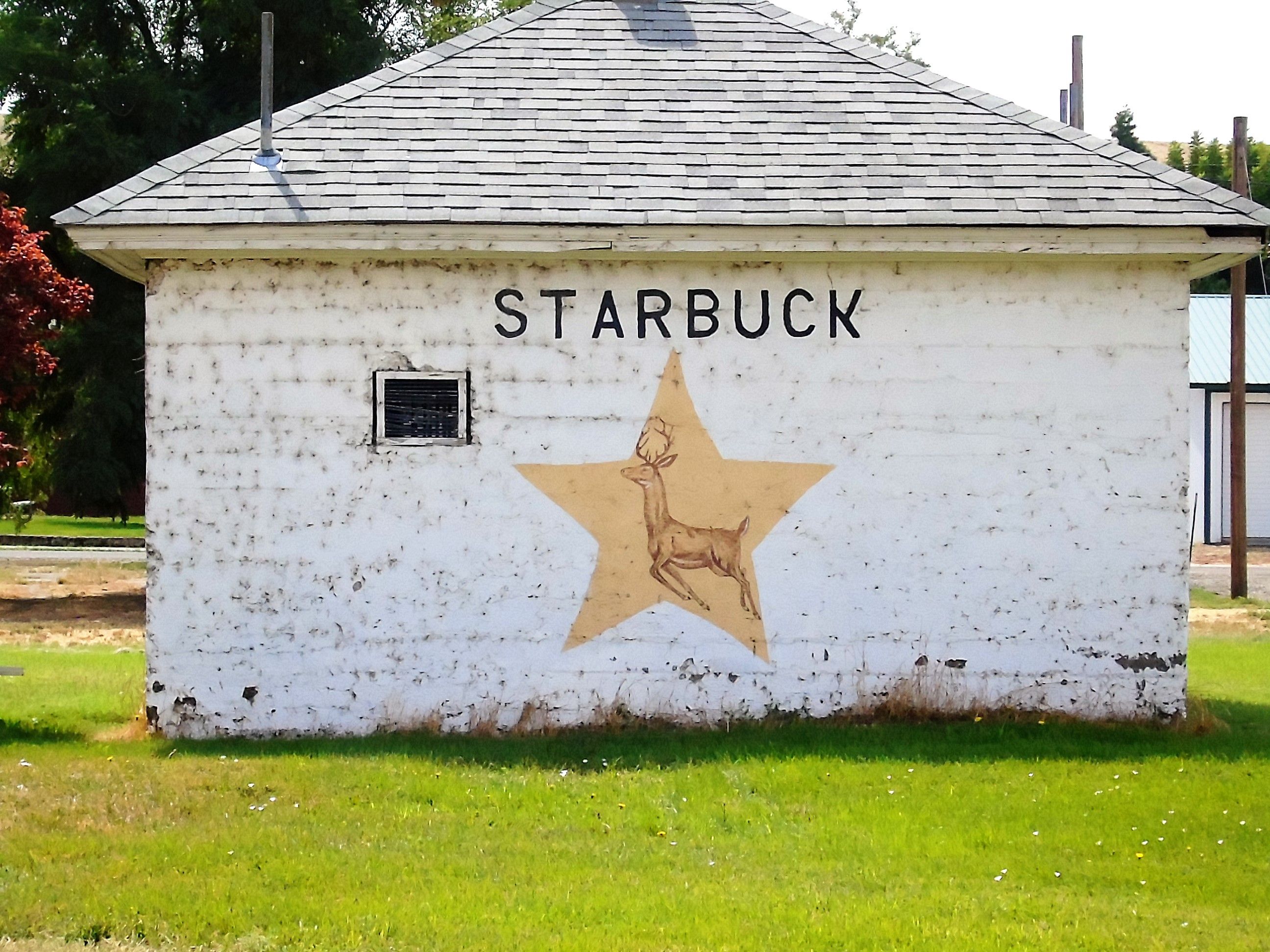 Original Starbuck before caffeine.jpg