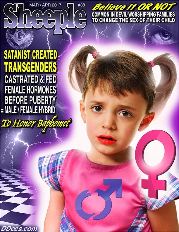 dd1.jpeg