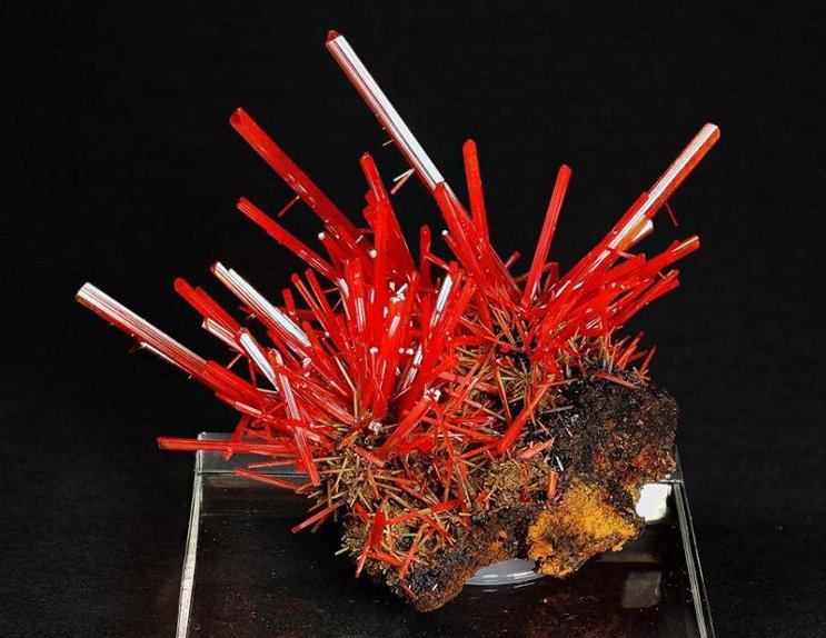 Minerals29_800.jpg