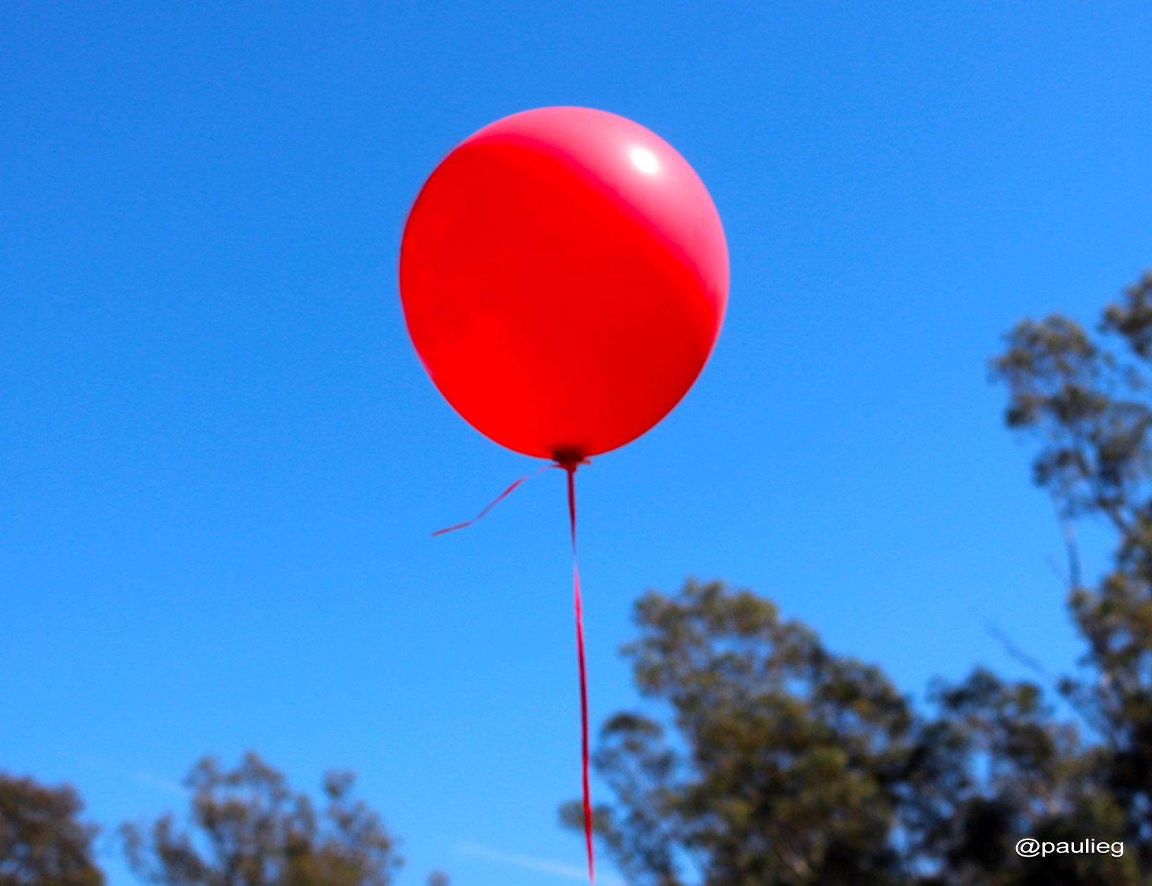 Red Balloon.jpg