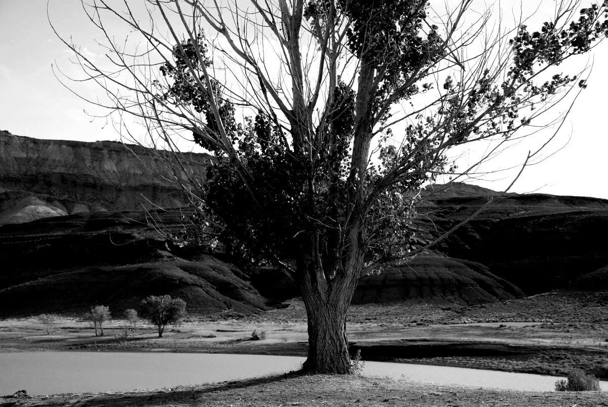 Bighorn Canyon klein 1sw.JPG