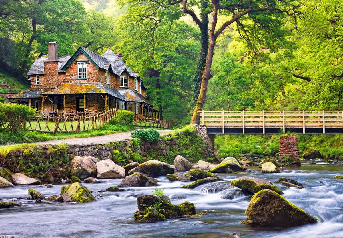 Forest-peaceful-place-floating-grass-bank-serenity-sunlight-stream-rest-creek-branches-calm-sunny-calmness-bridge-nice-summer-nature-cabin-beautiful-wallpaper-android.jpg