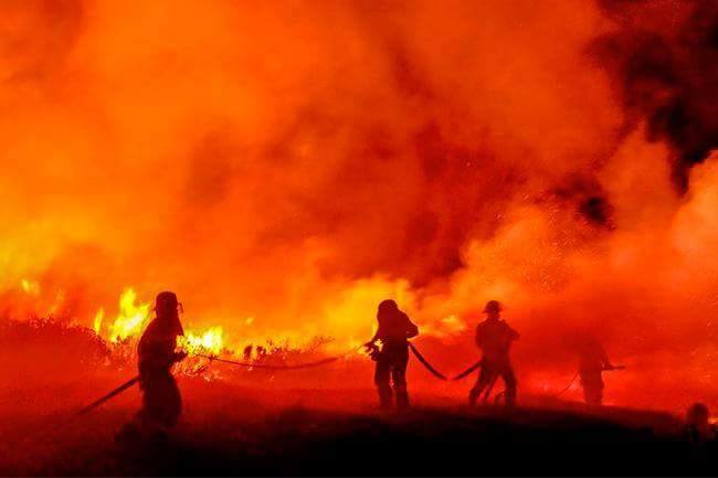 CapeTownFire8.jpg