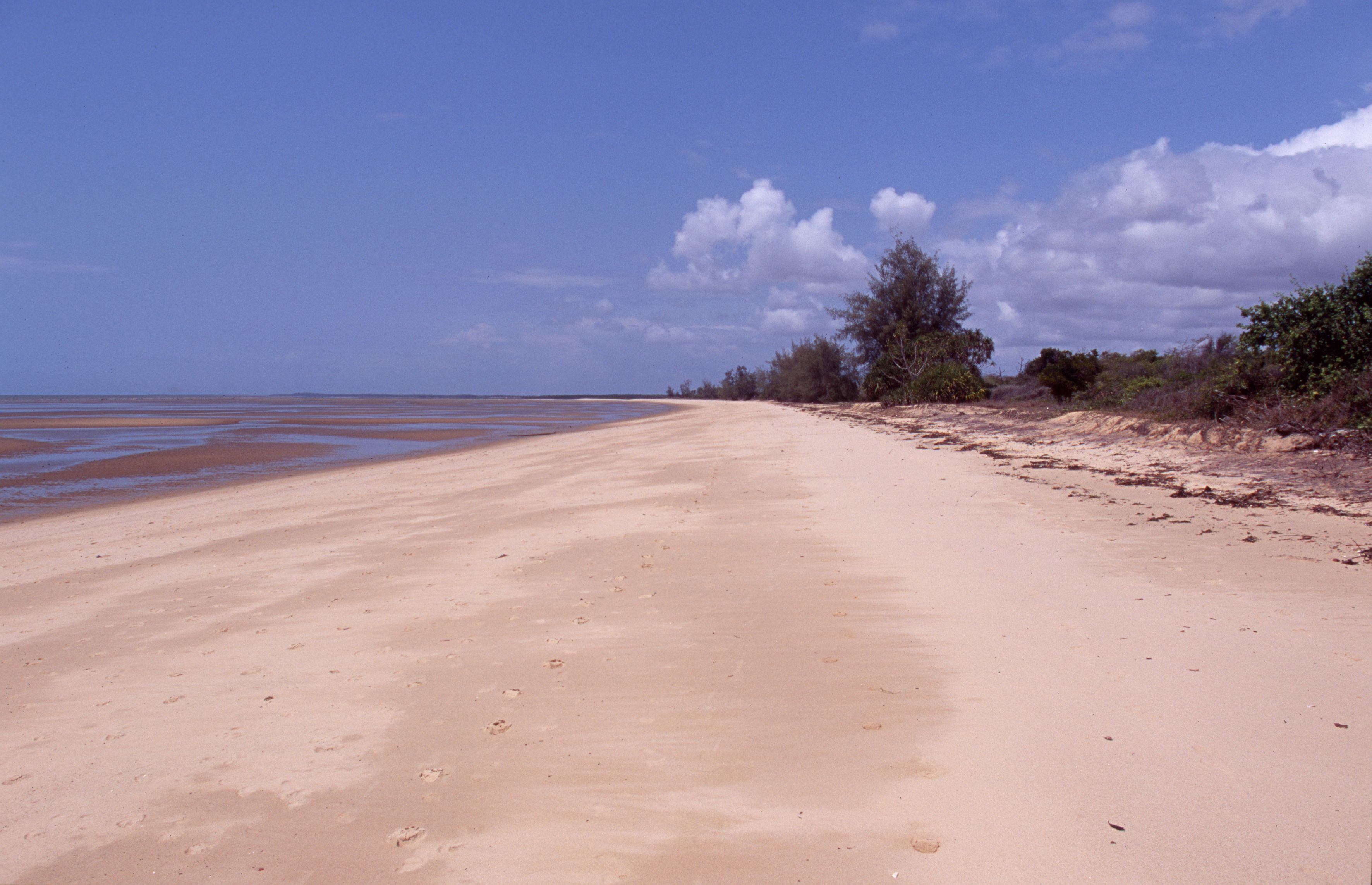 saadani national park-tanzania.jpg